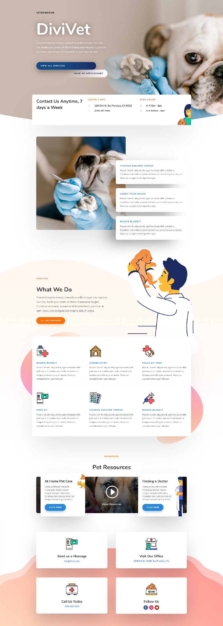 Dierenarts - Divi-image